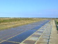 Les marais salants - La Brée les Bains