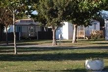 Camping "Le Planginot" - La Brée les Bains